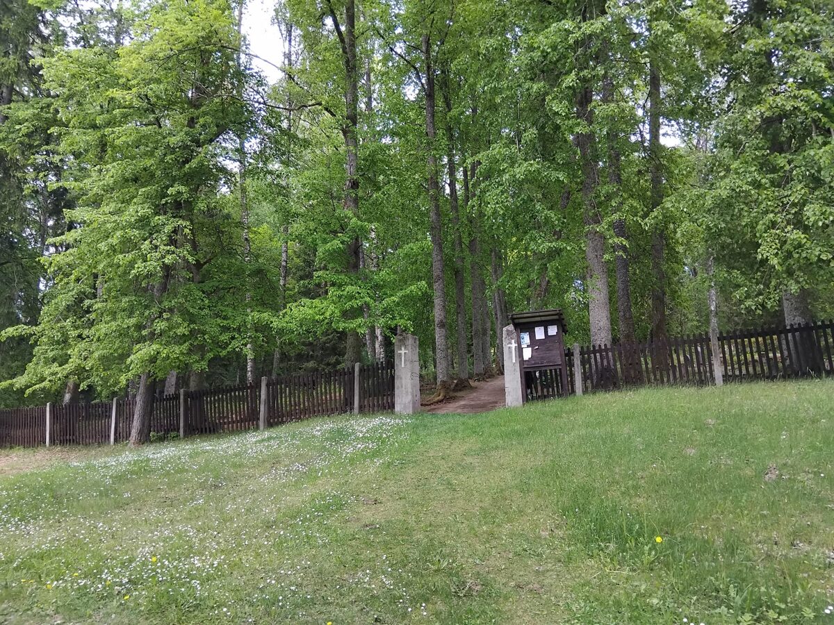 WhatsApp_Image_2026-05-26_at_15_45_22.jpeg